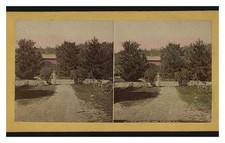 Portage New York Glen Iris Park Standard Postcard picture