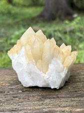 Natural Raw Quartz Cluster- Beautiful 3.8” Yellow White Quartz Crystal Points picture