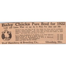 Wolf Hatching & Breeding Co Baby Chicks Gibsonburg OH 1922 Magazine Ad AF2-A5 picture