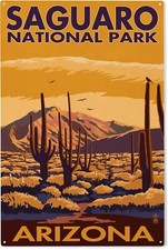 Lantern Press 12x16 Metal tin Sign, Ready to Hang Wall Decor, Saguaro National P picture