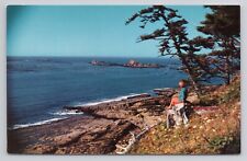 Empire Ore Coos Bay Postcard 3335 picture