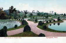 Lily Ponds In Forest Park Springfield Mass. Vintage Undivided Back Post Card picture