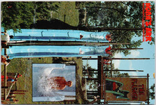 Noah's Ark Wisconsin Largest Waterpark Wisconsin Dells Vintage Postcard picture