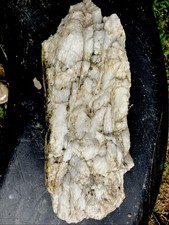 Beautiful Raw Milky Quartz From East Tenn Gold Mining Town Of Tellico plains picture