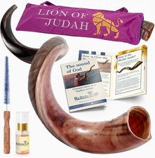 HalleluYAH Original Kosher Half Polished Kudu Shofar Israel picture