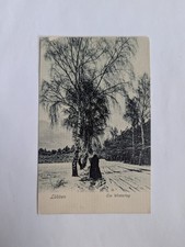 Lübben Spreewald Winter Day Birch Trees RPPC Postcard M. Brunkhorst picture