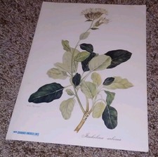 MENU Chandris America Line's October 1971 Welcome Dinner GREEK CRUISE LINE Vtg picture