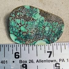 Natural New Lander Variscite Turquoise Rough Stone Gem 1/2