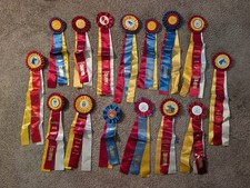 Horse Show Equestrian Champion Reserve Champion 21½