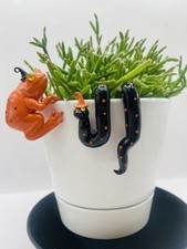 Meet “The Boo Crew” Halloween Hanging Frog and Snake Plant Decor - Pot Hugger picture