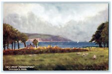 c1910 View from Farringford IOW Tennyson's Home Oilette Tuck Art Postcard picture