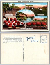 Exaggeration Ozark Region Apples Strawberries Train Cows Postcard picture