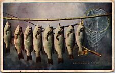 A Day's Catch of Fish at the Lake Florida Postcard picture