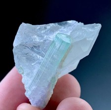 126 Carat Tourmaline Crystal With Quartz Specimen From Afghanistan picture