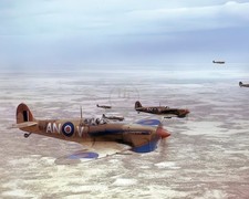 Loose Formation of Supermarine Spitfires 8x10 Glossy Photo Print HT4136834 picture
