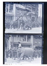 1915 Circus Street Parade Elephants Howdah Necco Glass Negatives (2) OOAK picture