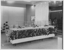 Photo:Hempstead Long Island NY 1950s Ansonia Shoes Store Interior Display picture