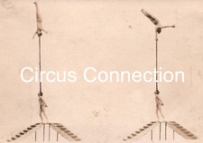 C1910's - Barnum & Bailey Circus Balancing Act RPPC - L2A picture