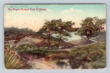 San Diego CA-California, San Diego Natural Park, Antique Vintage Postcard picture