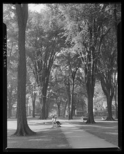 Photo:Oswego New York 1943 Park Trees People on Path picture