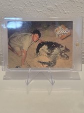 2002 Dart The Crocodile Hunter Steve Irwin Green Sea Turtle #37 picture