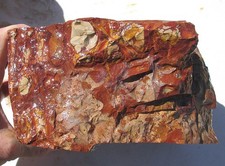 LARGE NOREENA JASPER ROUGH ~ 8-1/2