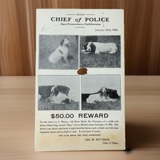 1905 San Francisco Police Reward Poster Postcard Dog Lost Setter Geo W Wittman picture