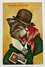 Arthur Thiele Signed Dressed Cat Hat Crying Lost Love TSN 918 Vintage Postcard picture