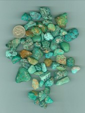 235 Grams of Stabilized Fox Turquoise Rough Large pieces of Stabilized Turquoise picture