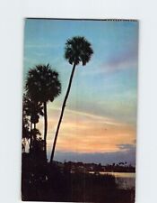 Postcard Florida Sunset USA North America picture