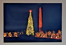Vintage 1968 Wash DC Christmas Tree 35mm Slide, Beautiful Color picture