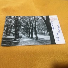 ca1915 Marion SC Postcard View of Main Street Going Through Public Square picture