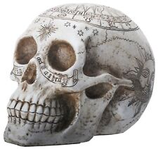 YTC 7.75 Inch Resin Skull with Astrology Engravings, White Colored picture
