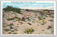 Imperial Valley California Desert Flowers White Border Postcard picture