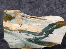 Beautiful Larsonite(Gary Green, Freedom) Jasper Bogwood Slab, lot#1011 picture
