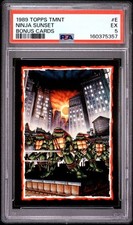 1989 Topps TMNT #E Ninja Sunset : Collector's Edition Bonus Cards PSA 5 picture
