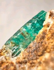 241 Ct. Excellent Green Excellent Emerald Crystal from Panjshir Afghanistan  picture