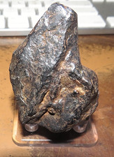 230 gm . CANYON DIABLO IRON METEORITE ; TOP GRADE; ARIZONA; .51 LB JAL picture