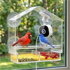 Smart Window Bird Feeder with 2K HD Auto-Capture Video Camera | Strong suction.. picture