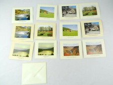 Vintage Scenes of Pennsylvania Autumn Tulips Scene 12 Cards & Envelopes PA picture