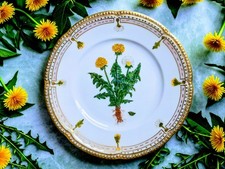 Vintage Hand Painted Botanical Porcelain Plate Flora Danica Style Dandelion  picture