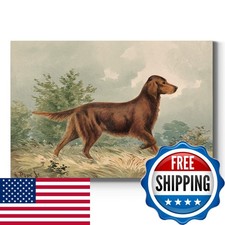 Renditions Gallery Irish Setter I Wall Art - Mahogany Red Chestnut - 32x48 in picture