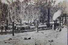 Large Mounted Logging Photo Occupational Sawmill Crew Men Engine Australia C25 picture