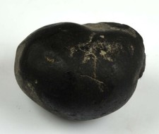 Vasudeva Shaligram Gandaki River Nepal-82 Gram/ 1.72 Inch picture