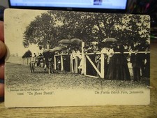 B2 Vintage Old FLORIDA Postcard Jacksonville Ostrich Farm Bird Cart Race track picture