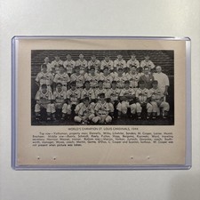 1944 St. Louis Cardinals World Series Team Picture Rare Vintage Baseball Musial picture