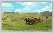 PA-Pennsylvania, Amish Farmer Harvesting Hay, Antique, Vintage Souvenir Postcard picture