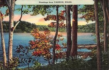 Postcard WA: Greetings from Vashon, Washington, Linen 1940's Unposted picture