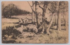 Antique Undivided Back Postcard - 
