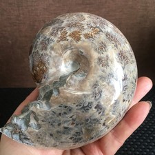 684g natural beautiful polishing Stone sculptor decoration fb1376 picture